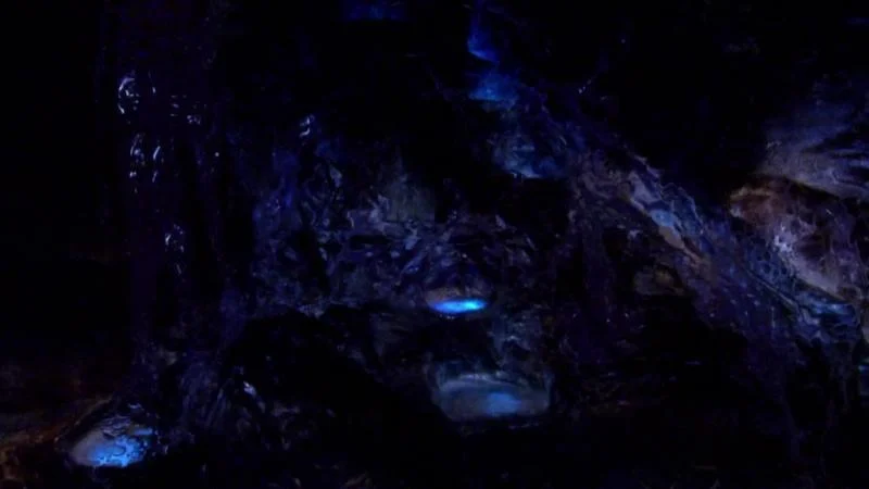 Кадры из сериала H2O: Просто добавь воды (2006)